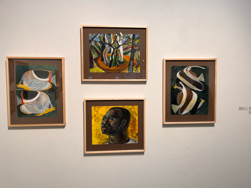 Russo Lee Gallery, Lucinder Parker, Fiji